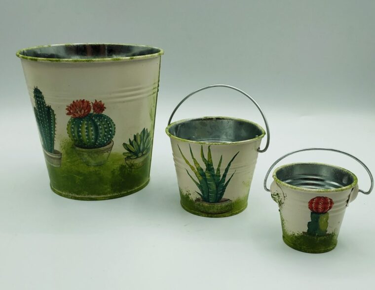 IMG_20210328_171034-e1714482193265